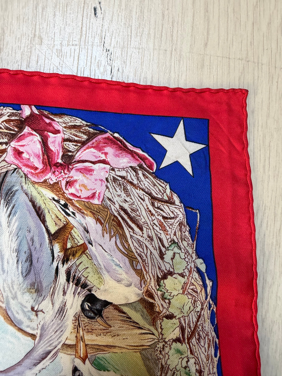 Hermès “Faune et Flore du Texas” Silk Carré 90 by Kermit Oliver – Vintage Collector’s Scarf with Original Box