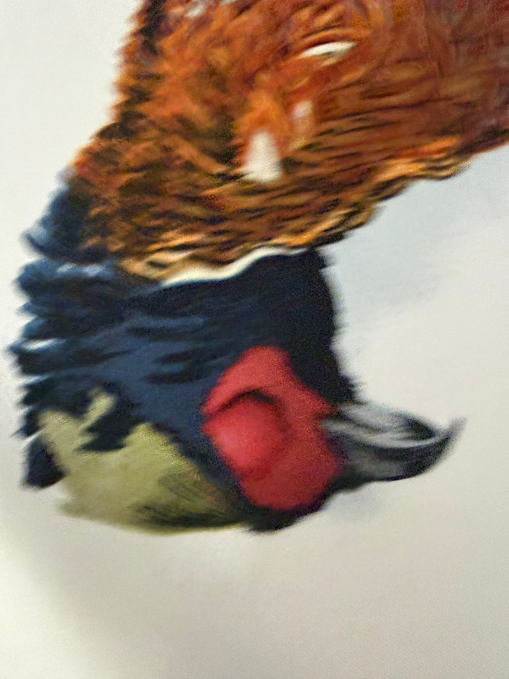Hermès Gibiers Silk Scarf 90